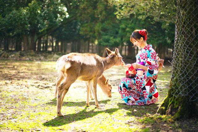 日本大阪經(jīng)典5日游